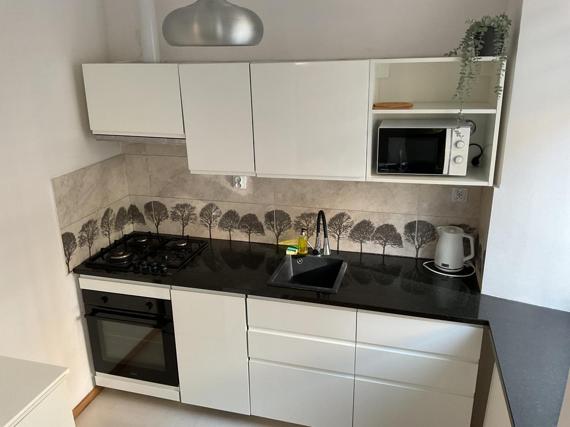 Omorika Na Zamkowej Lägenhet Kraków Exteriör bild